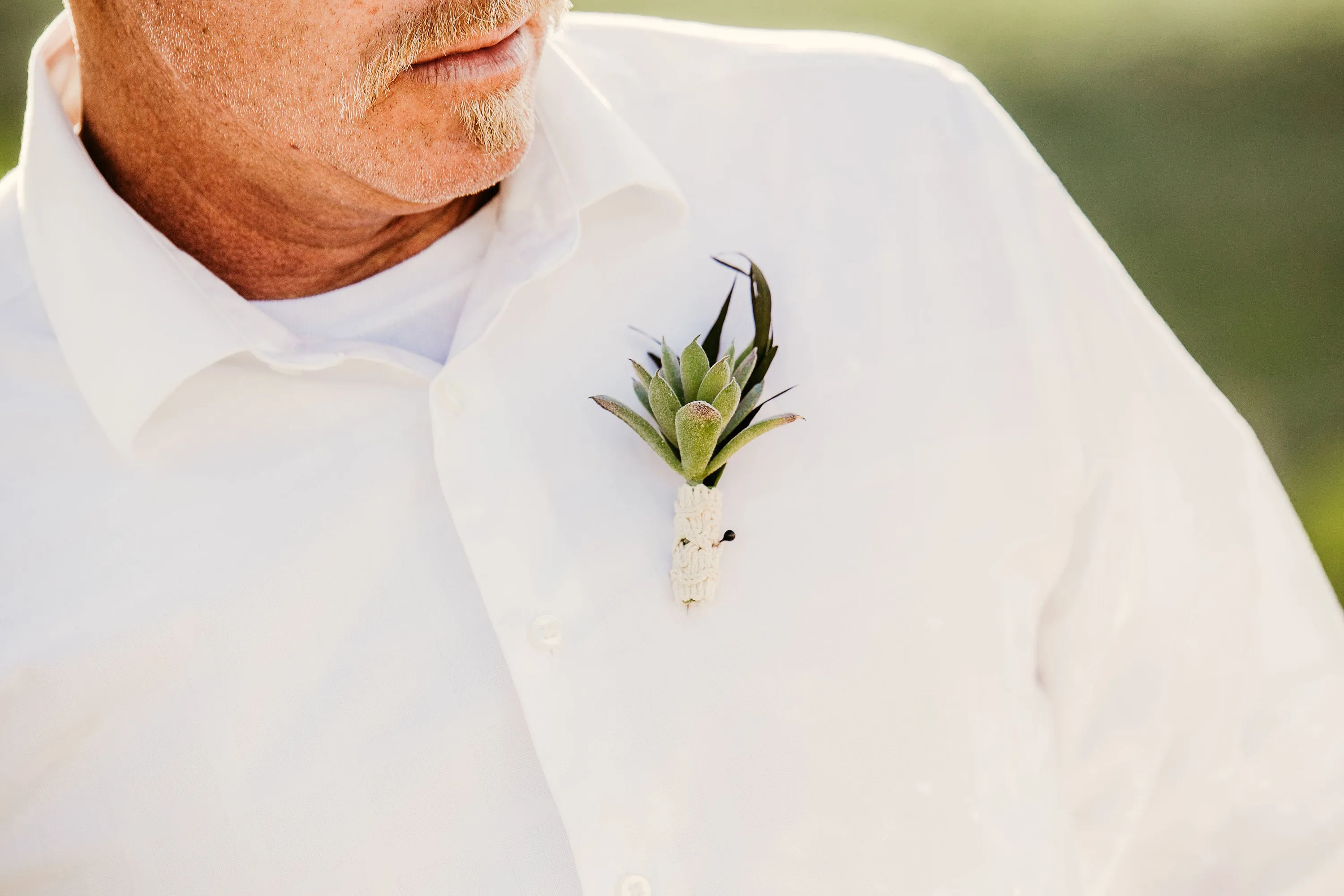 Succulent Boutonniere